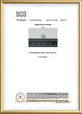 HOLYCOME certificate 6
